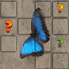 Butterfly Memory Match – The Garden of Remembrance